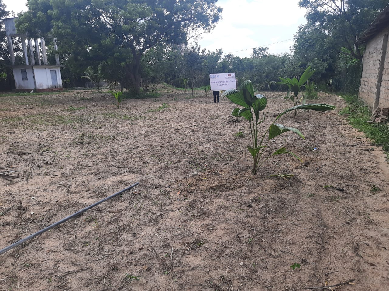 3moestuin
